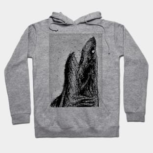 Shark Hoodie